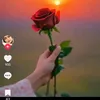 alen.taqana