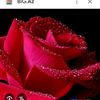 papatiya29