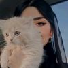 kashaf_425