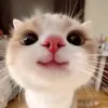 hng_thng6