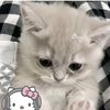 darlathecutie