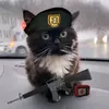 chibik8642