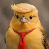 chicachici2