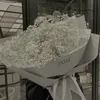 hunhvntrng417
