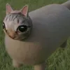 deptraichuayeuai3