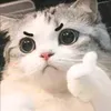 hieuzz8