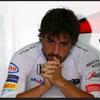 alonso_fan5