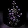 clara_0731