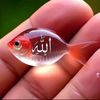 user8125153352843