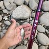 mancing dasaran