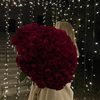 darya.haimor