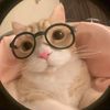 adina_6871