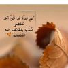 son.of.egypt77