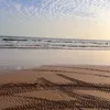 ayman_5440