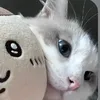 quyn.ruby_
