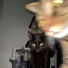 gomumoo
