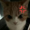 elif_1907_12