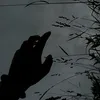 army_izi000