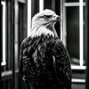 kobra_0202