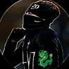 levs_zica7