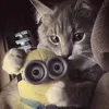 romikkt