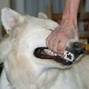 fwwbri