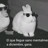 ni_un_brillo_pelao12