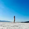 tvl_travel