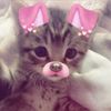 lipton_0027