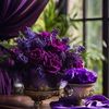 hasa_76