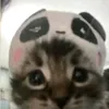 yungjuggler_