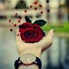 zainab.gusho