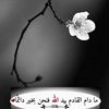 user4208350661709