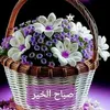 user2194566920607