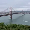 miguelribeiro.5