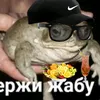 prostofrogi