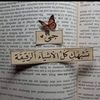 jana.ezzat531