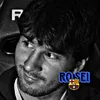 ro.sei