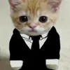 .tytyioi