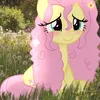 princess_stella_03