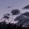 kiwinishka69