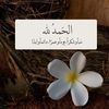 °·.¸🎀  هناء الشبلي  🎀   >-
