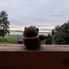 mrbibizyan
