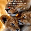 user92822591988693