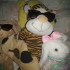 bonde_do_tigrao_12345