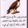 user34452856009820