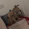 popsxxx5