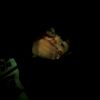 yordyp83