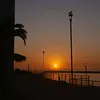 el_pollito.7_5