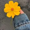 sooma.ibrahim82